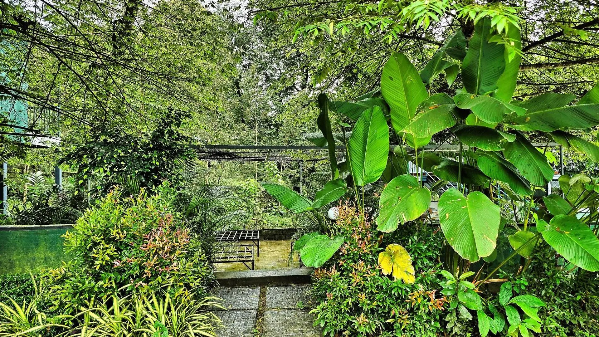 Bob Green House Sultan Bathery Ξενοδοχείο