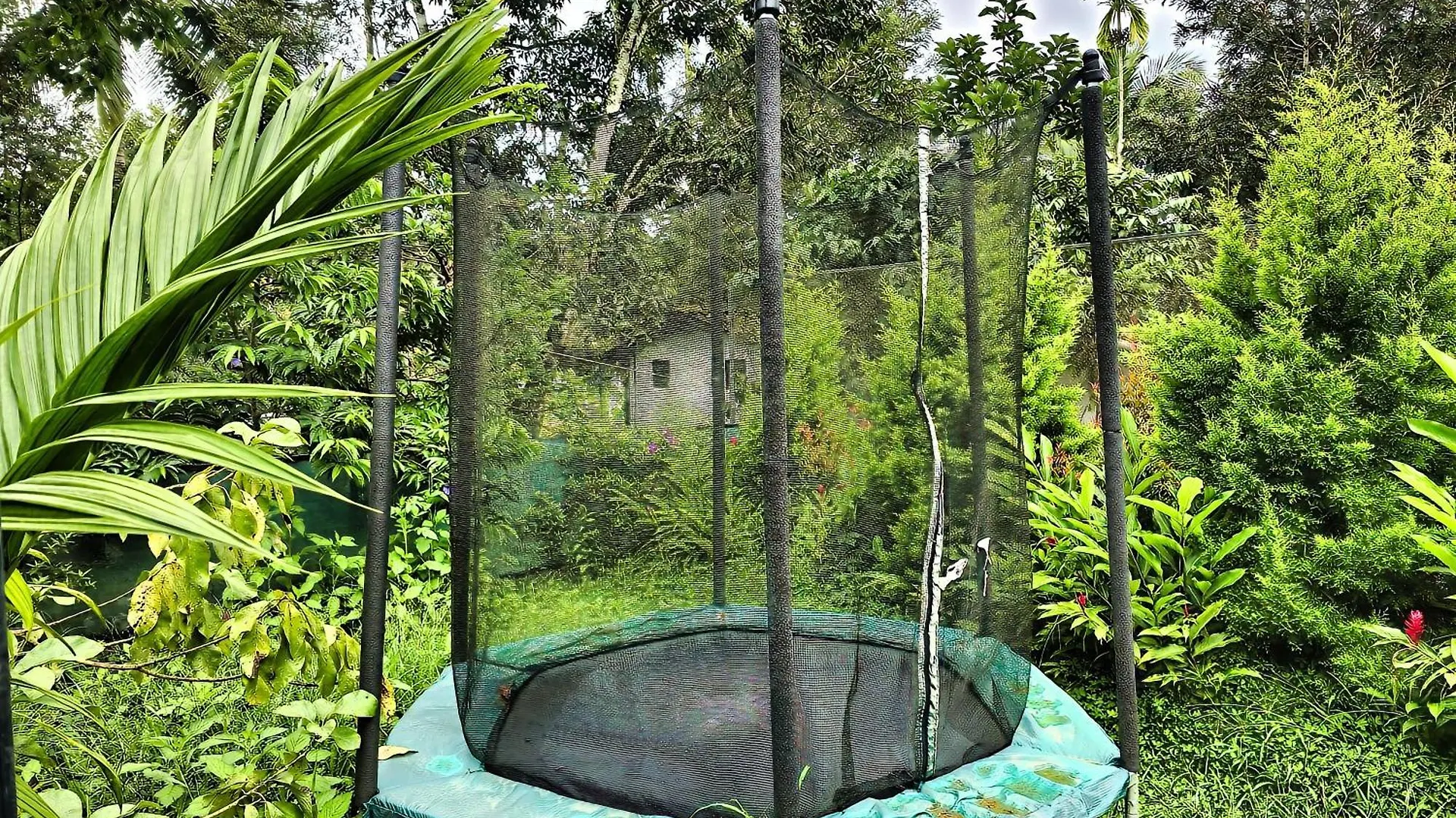 Bob Green House Sultan Bathery